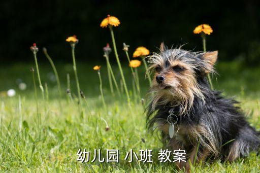 幼儿园小班教案记录,幼儿园小班教案