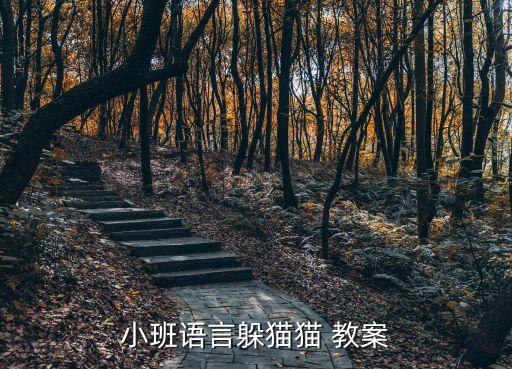 小班语言躲猫猫 教案
