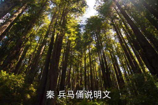 秦 兵马俑说明文