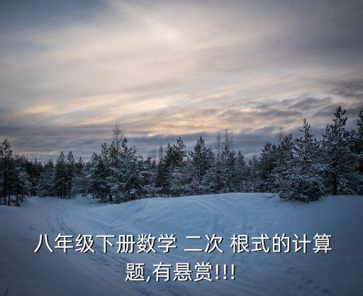  八年级下册数学 二次 根式的计算题,有悬赏!!!