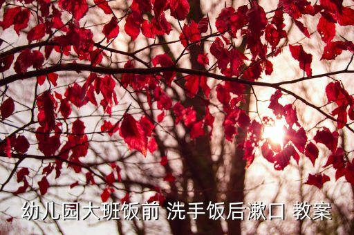 幼儿园大班饭前 洗手饭后漱口 教案