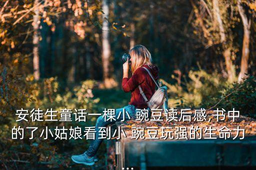 20一颗小豌豆教案,小男孩用玩具枪打掉这些小豌豆朴实善良