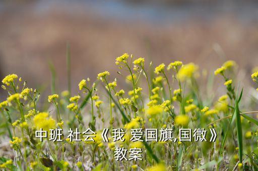  中班 社会《我 爱国旗,国微》 教案