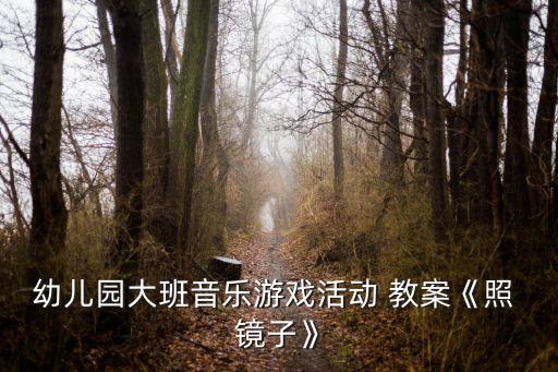 有关镜子的早教教案,教孩子听对方说话回答问题1身体器官名称