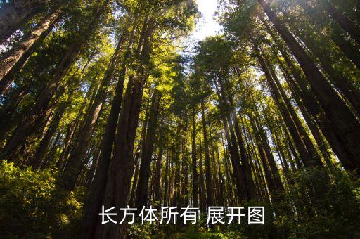 苏教版长方体展开图教案,白纸上画出长方body展开图