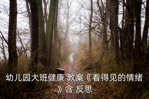 托班常识哭和笑教案与反思,如何关注教案,小班健康教案