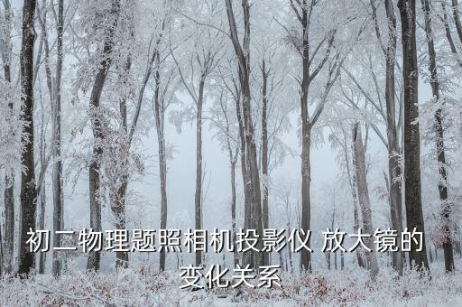 初二物理题照相机投影仪 放大镜的 变化关系
