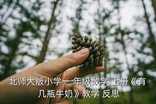 北师大版小学一 年级数学 上册《有 几瓶牛奶》教学 反思