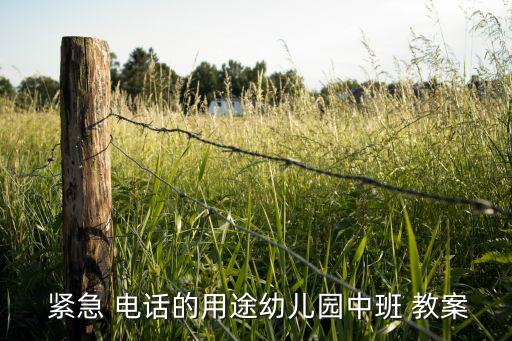 紧急电话我会用大班安全教案,一文读懂!中班安全电话教案