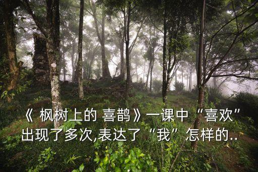 枫树上的喜鹊优秀教案,喜欢站在枫树以下看喜鹊在家