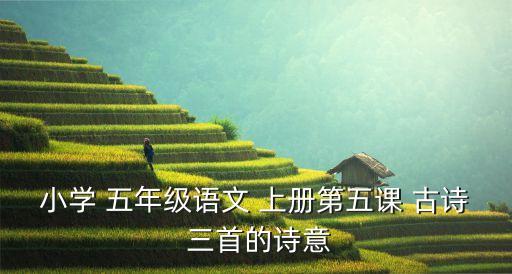 小学 五年级语文 上册第五课 古诗 三首的诗意