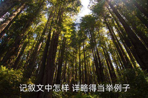 记叙文的详略 教案,记叙文如何分析?