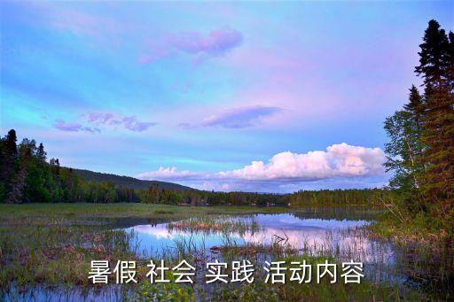 暑假 社会 实践 活动内容