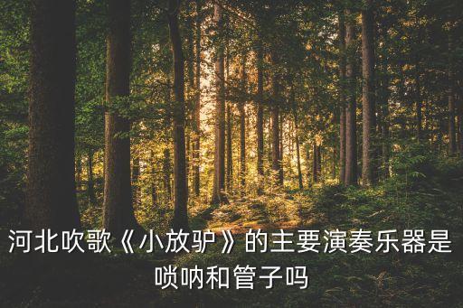 音乐湘文艺版小放驴教案,中国民族器乐合奏形成独特韵味