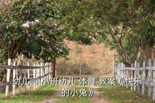 小班体育小兔运萝卜教案,幼儿园小班体育教案快乐小兔子1