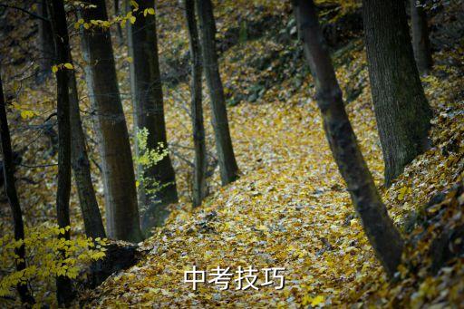  中考技巧