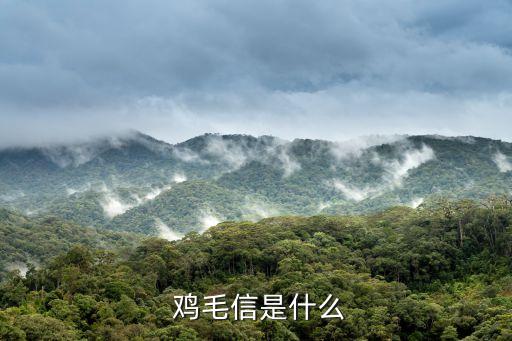 《鸡毛信》中班教案,中国邮政史上唯一实物鸡毛信诞生