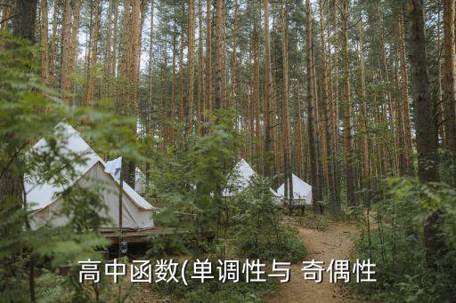 奇偶性分析教案,武汉出现第一起病例