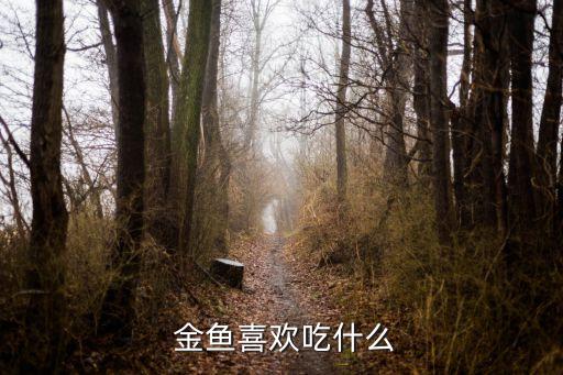 教案 金鱼吃什么,金鱼贪吃一次只能吃八成活饵半小时吃