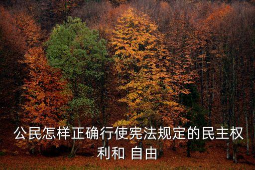  公民怎样正确行使宪法规定的民主权利和 自由