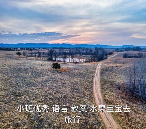  小班优秀 语言 教案 水果宝宝去旅行