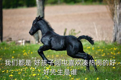 我们都是 好孩子阅中喜欢凑热闹的好好先生是谁