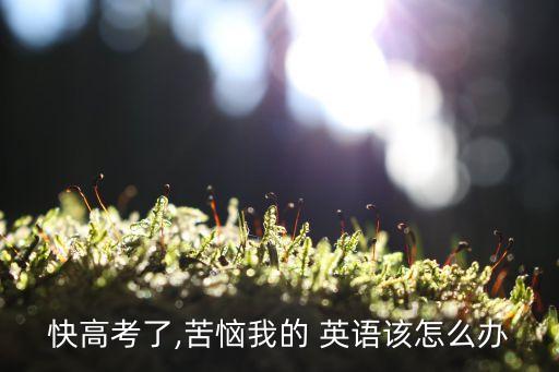 快高考了,苦恼我的 英语该怎么办