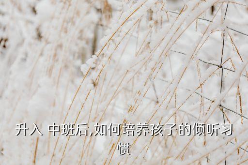 升入 中班后,如何培养孩子的倾听习惯
