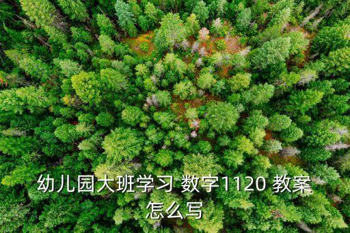 幼儿园大班学习 数字1120 教案怎么写