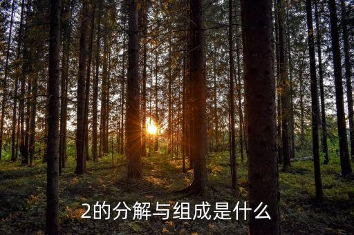 2的分解与组成是什么