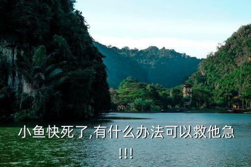  小鱼快死了,有什么办法可以救他急!!!