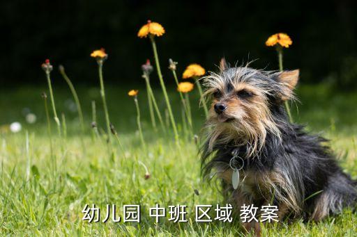 中班幼儿美工区域活动教案,幼儿园中班美工区教案4总结