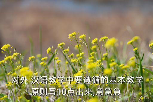  对外 汉语教学中要遵循的基本教学原则写10点出来,急急急