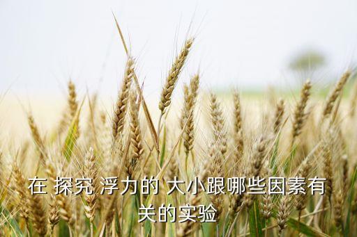 在 探究 浮力的 大小跟哪些因素有关的实验