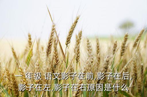 一 年级 语文影子在前,影子在后,影子在左,影子在右原因是什么