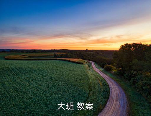 大班 教案