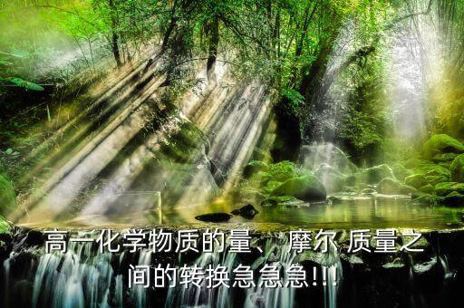  高一化学物质的量、 摩尔 质量之间的转换急急急!!!