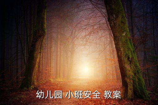 幼儿园 小班安全 教案