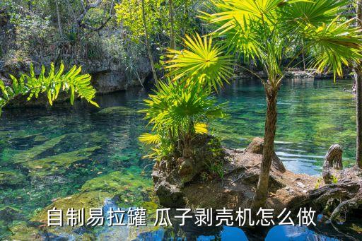 瓜子皮手工教案,瓜子经过分拣机筛出瓜子