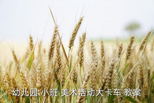 幼儿园 小班 美术活动大卡车 教案