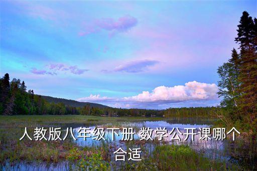  人教版八年级下册 数学公开课哪个合适