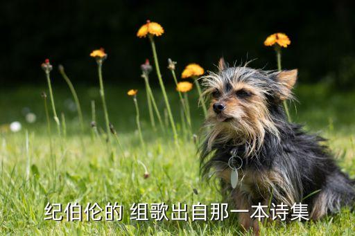 组歌 节选 教案百度文库,《眼泪与欢笑》组歌出炉作者是谁?