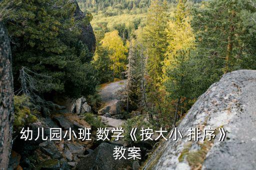 幼儿园小班 数学《按大小 排序》 教案