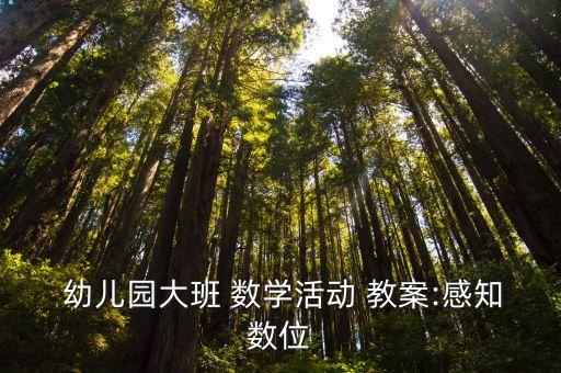 幼儿数学找位置教案,幼儿园班数学活动教案:感知数码