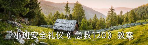 小班安全礼仪《 急救120》 教案