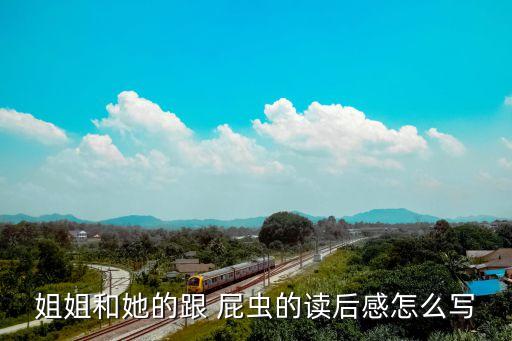 姐姐和她的跟 屁虫的读后感怎么写