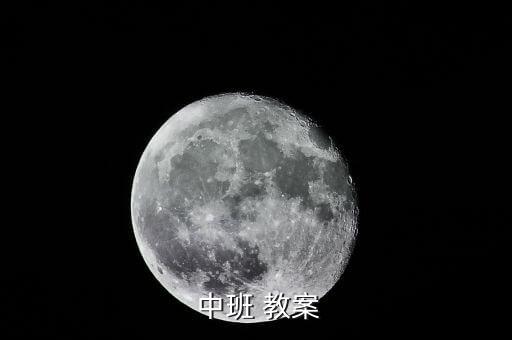  中班 教案