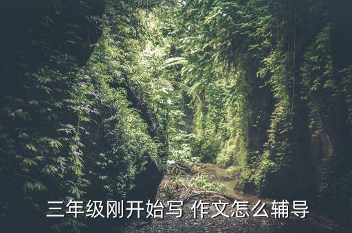 三年级开心作文教案,三年级学生作文教学内容