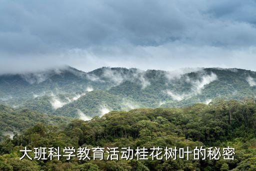 大班科学教育活动桂花树叶的秘密
