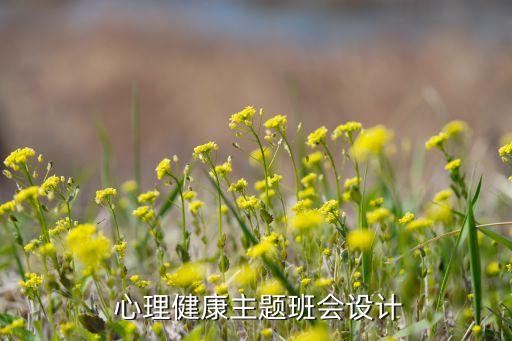  心理健康主题班会设计